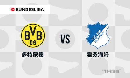 德甲焦點戰：多特蒙德對陣霍芬海姆
