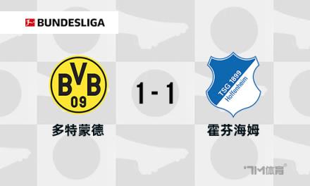 德甲：多特蒙德1-1霍芬海姆，雷納破門，拉爾森絕平