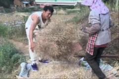 矣進宏干農活：堅持到底，只為當初的選擇