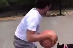 還是你會玩特雷-楊遭遇小黑狗狗防守，花式運球戲耍+嘲諷~