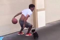 特雷楊以后的垃圾話：你還沒狗防的好！