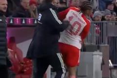 自己甚至能跟自己干起來的！拜仁球迷：我們的薩寶，你都敢惹？