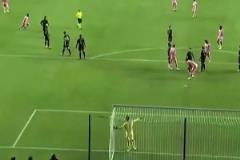 媒體不會向您展示這個鏡頭！邁阿密這球被看臺拍到……