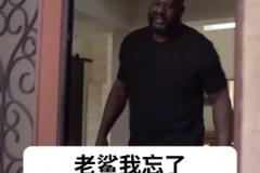 大鯊魚終于入手了一輛適合自己尺寸的汽車，奧胖：我太難了