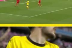 勇者無懼！這是真多特球迷！在拜仁球迷區(qū)一個人肆意慶祝！