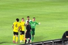 笑死！這位網(wǎng)友真是王大雷的王牌翻譯官