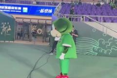 浙江隊的吉祥物都變得傷感了起來...