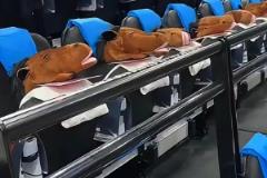 太有梗了！快船主場給觀眾發放帽子馬搞約基奇心態
