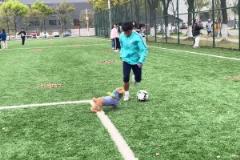 難兄難弟！李霄鵬：泰山隊不太好還能有我們不太好嗎