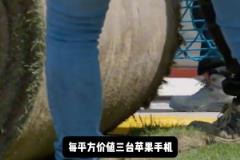 新諾坎普草皮每平方價(jià)值3臺(tái)蘋果手機(jī)，每年維護(hù)費(fèi)用高達(dá)200萬