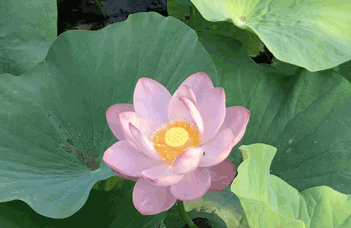 本溪反滲透水處理設(shè)備廠(chǎng)家談水處理設(shè)備的日常維護(hù)